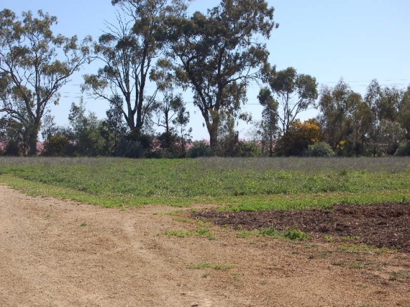 554 Healy Road, Cobram East VIC 3644