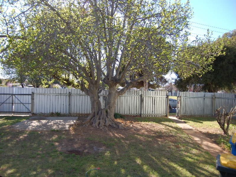 13 Stokes Avenue, Cobram VIC 3644