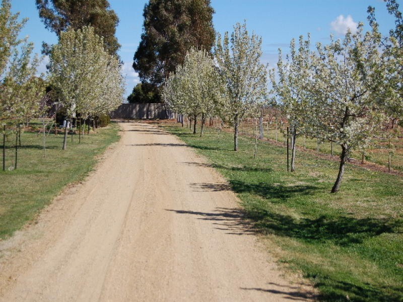 193 Cobram South Road, Cobram VIC 3644