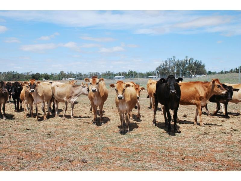 1 Beek Street, Katamatite VIC 3649