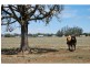 1 Beek Street, Katamatite VIC 3649