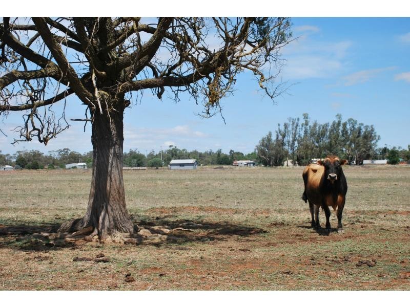 1 Beek Street, Katamatite VIC 3649