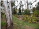 60 Lakeside Drive, Oasis Village, Cobram VIC 3644
