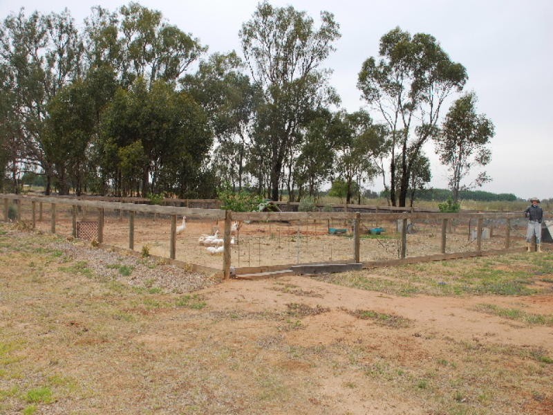 4365 Murray Valley Highway, Cobram VIC 3644