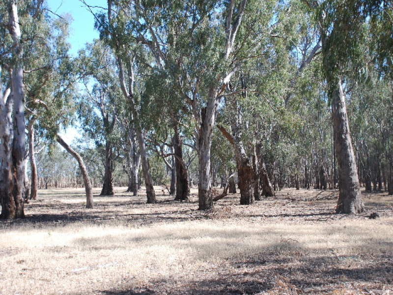 RMB , 1029 barooga, Tocumwal NSW 2714