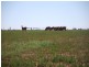 RMB , 1029 barooga, Tocumwal NSW 2714