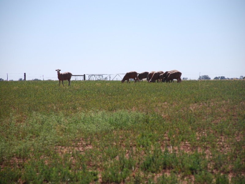 RMB , 1029 barooga, Tocumwal NSW 2714