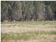 RMB , 1029 barooga, Tocumwal NSW 2714