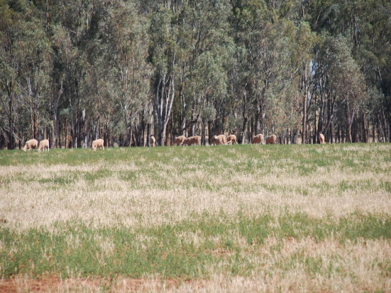 RMB , 1029 barooga, Tocumwal NSW 2714