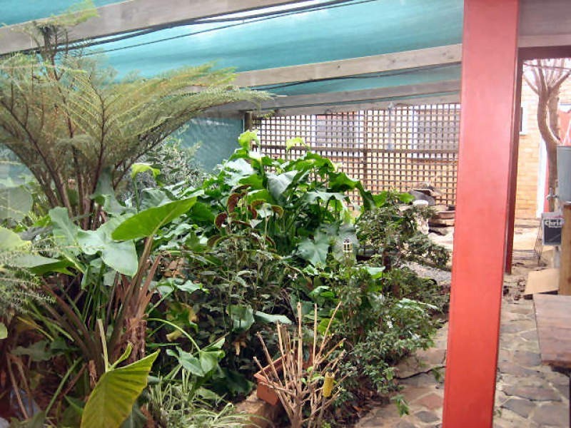 125 Jerilderie Street, Berrigan NSW 2712