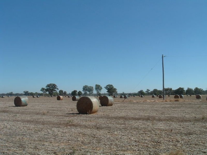 00 Waaia – Bearii Road, Bearii VIC 3641