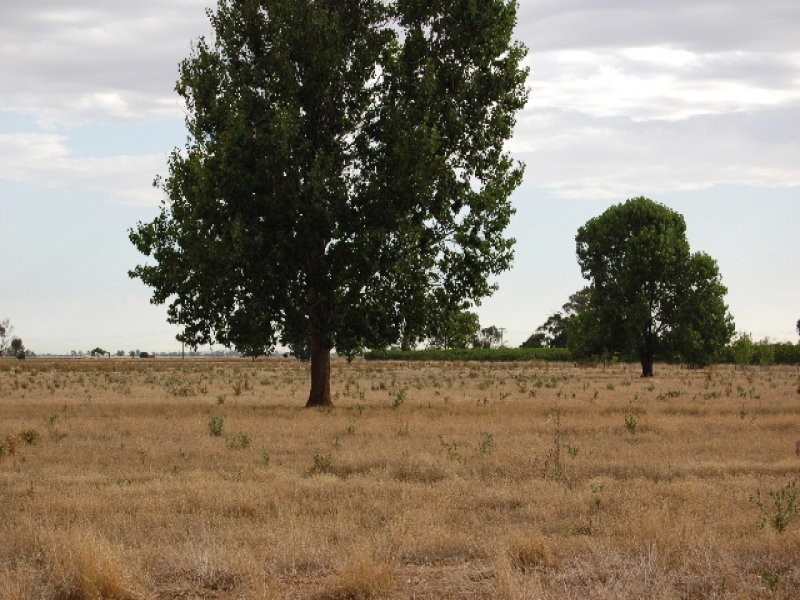 Lot 1 Dairy Paddock Lane, Cobram East VIC 3644