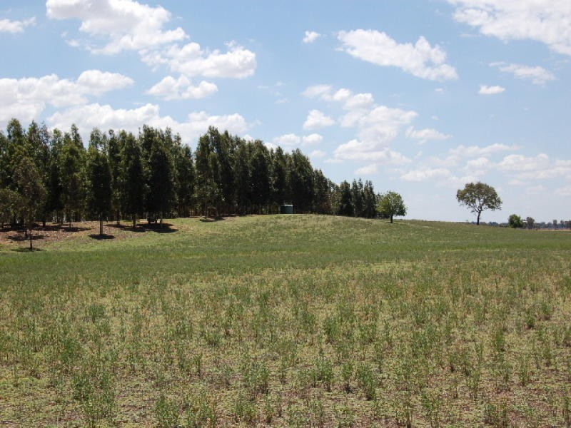 00 Golf Course Road, Barooga NSW 3644