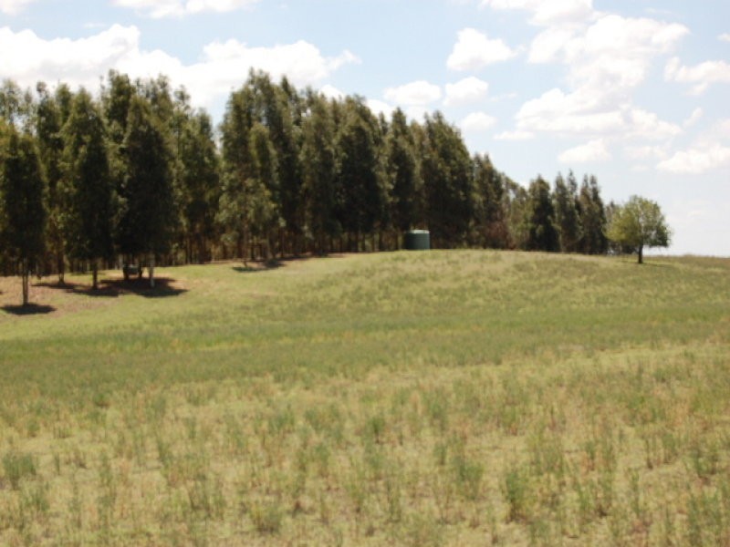 00 Golf Course Road, Barooga NSW 3644