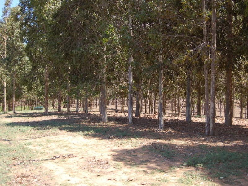 00 Golf Course Road, Barooga NSW 3644