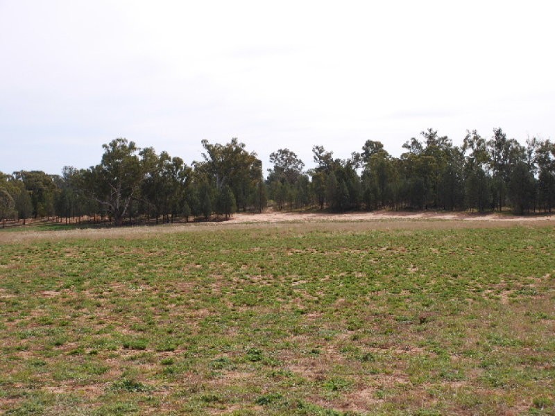 00 Nolans Road, Barooga NSW 3644