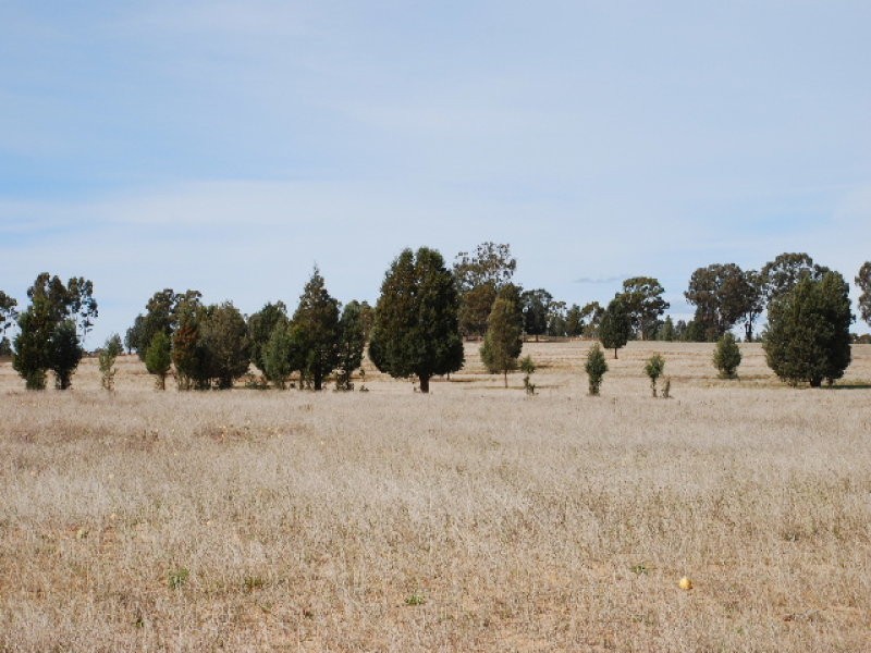 00 Nolans Road, Barooga NSW 3644