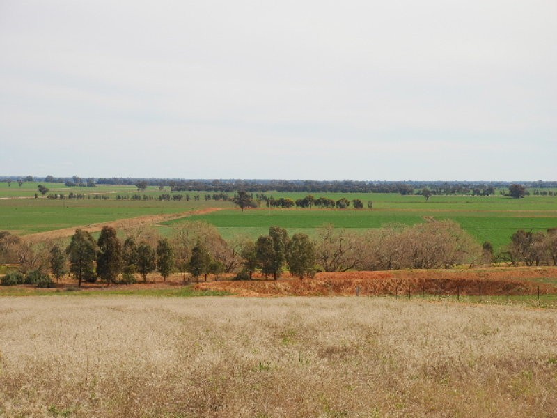 00 Nolans Road, Barooga NSW 3644