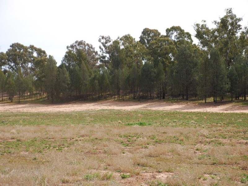 00 Nolans Road, Barooga NSW 3644