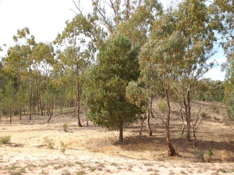 00 Nolans Road, Barooga NSW 3644