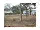 Lot 8 and 9 Denison Street, Berrigan NSW 2712