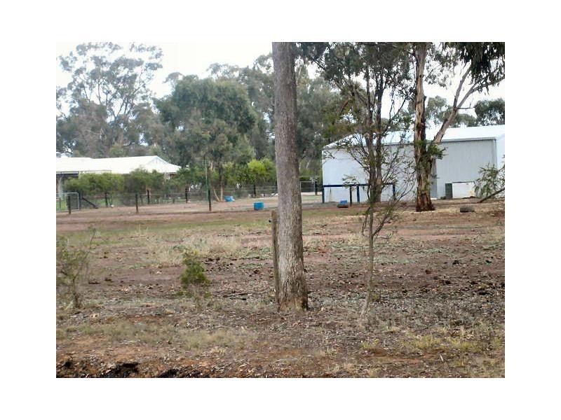 Lot 8 and 9 Denison Street, Berrigan NSW 2712
