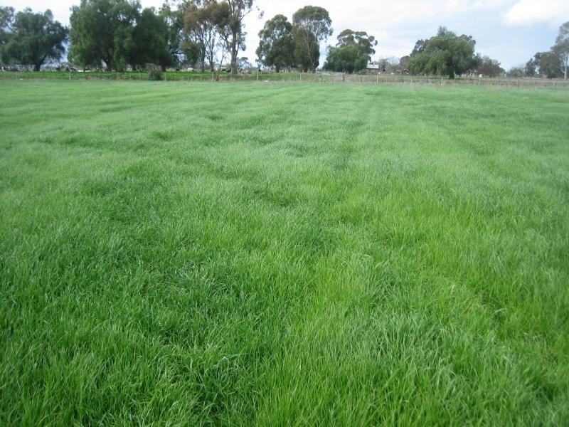 645 Labuan Road, Yarroweyah VIC 3644