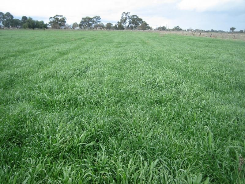 645 Labuan Road, Yarroweyah VIC 3644