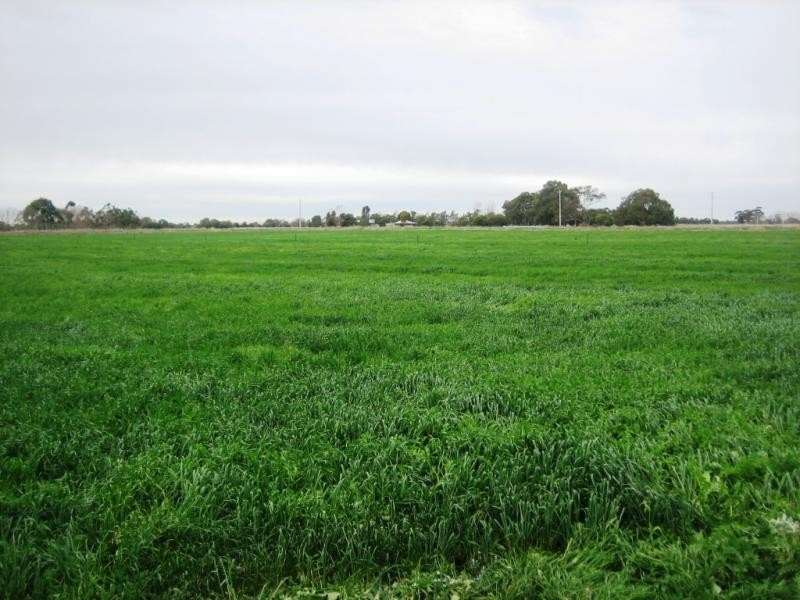 1370 Sandmount Road, Katunga VIC 3640