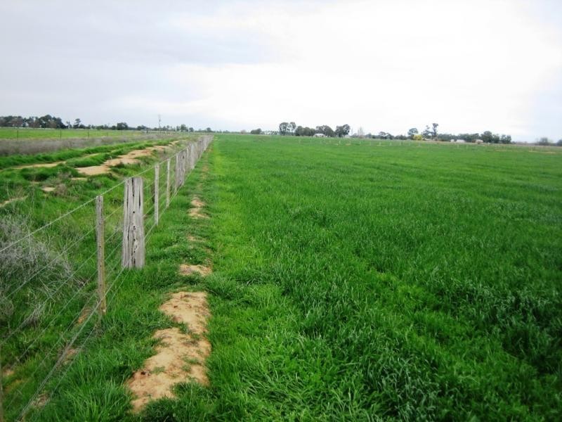 1370 Sandmount Road, Katunga VIC 3640