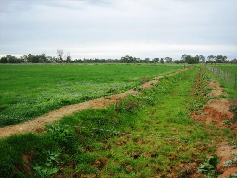 1370 Sandmount Road, Katunga VIC 3640