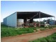 Lot 2 Piney Road, Tocumwal NSW 2714