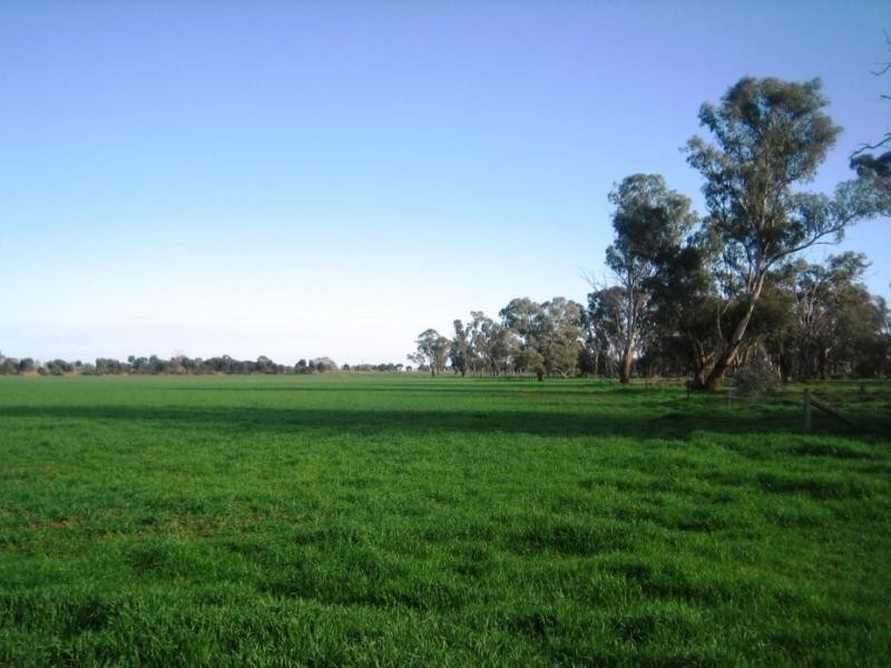 Lot 2 Piney Road, Tocumwal NSW 2714