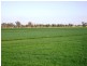 Lot 2 Piney Road, Tocumwal NSW 2714