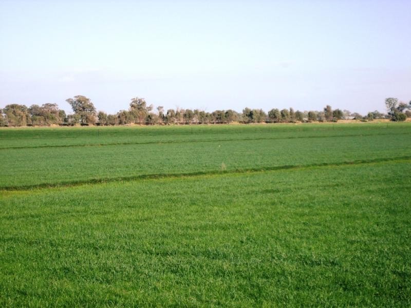 Lot 2 Piney Road, Tocumwal NSW 2714