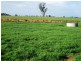 Lot 2 Piney Road, Tocumwal NSW 2714