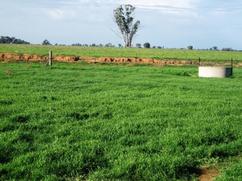Lot 2 Piney Road, Tocumwal NSW 2714