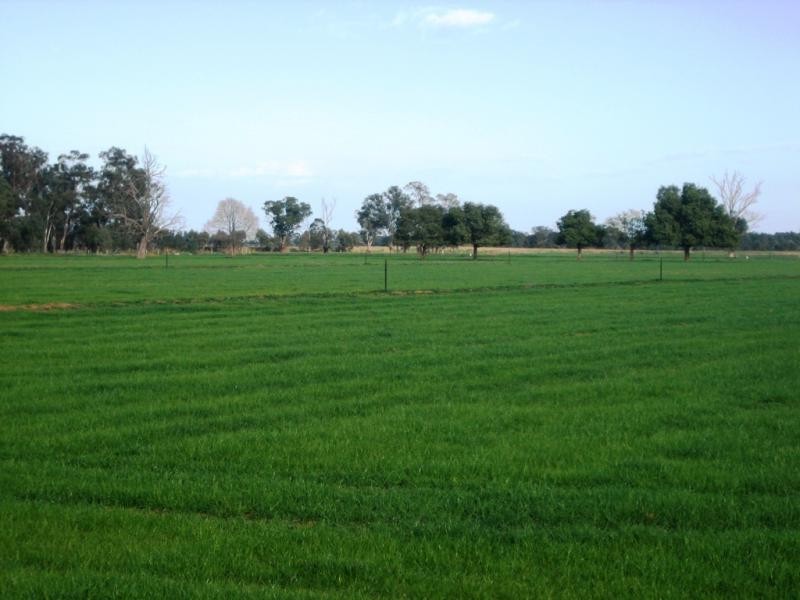 Lot 2 Piney Road, Tocumwal NSW 2714