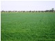 Lot 2 Piney Road, Tocumwal NSW 2714