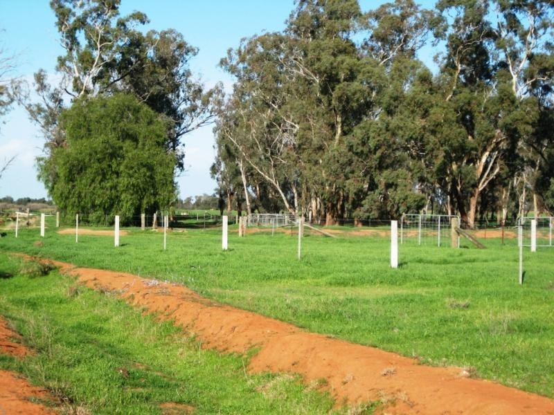 Lot 2 Piney Road, Tocumwal NSW 2714