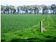 5559 Tocumwal Benalla Road, Katamatite VIC 3649