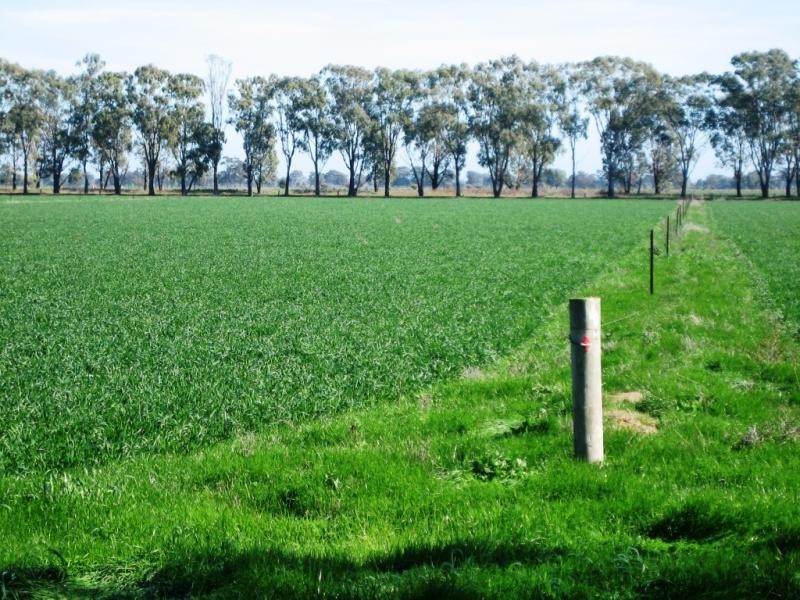 5559 Tocumwal Benalla Road, Katamatite VIC 3649
