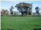 5559 Tocumwal Benalla Road, Katamatite VIC 3649