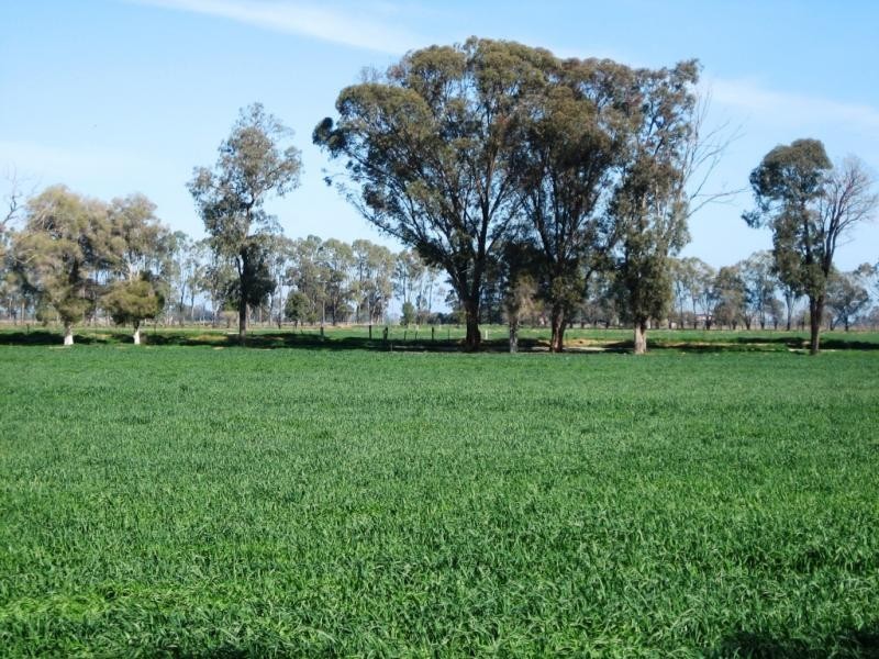 5559 Tocumwal Benalla Road, Katamatite VIC 3649