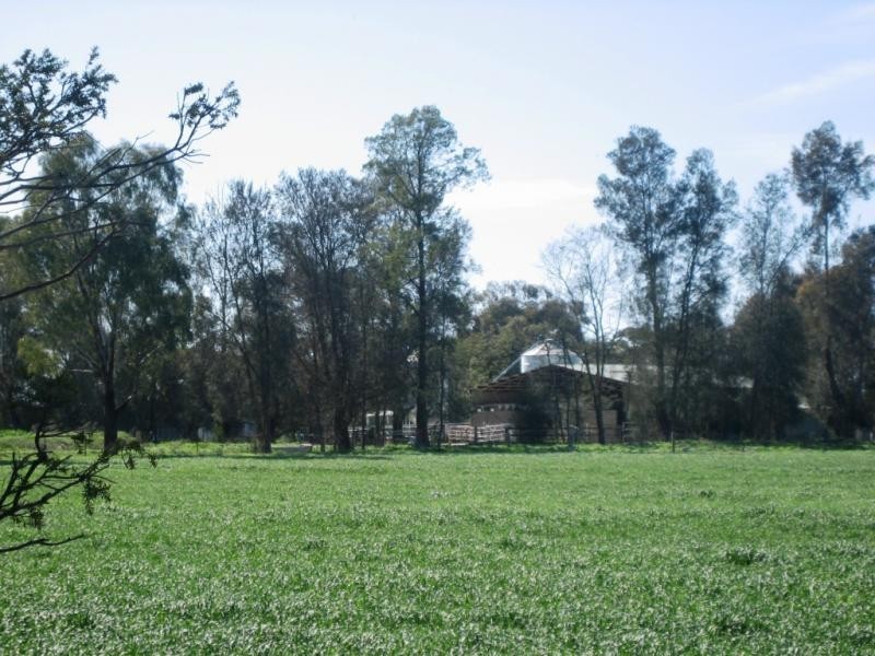 5559 Tocumwal Benalla Road, Katamatite VIC 3649