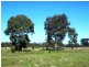 Strathmerton VIC 3641