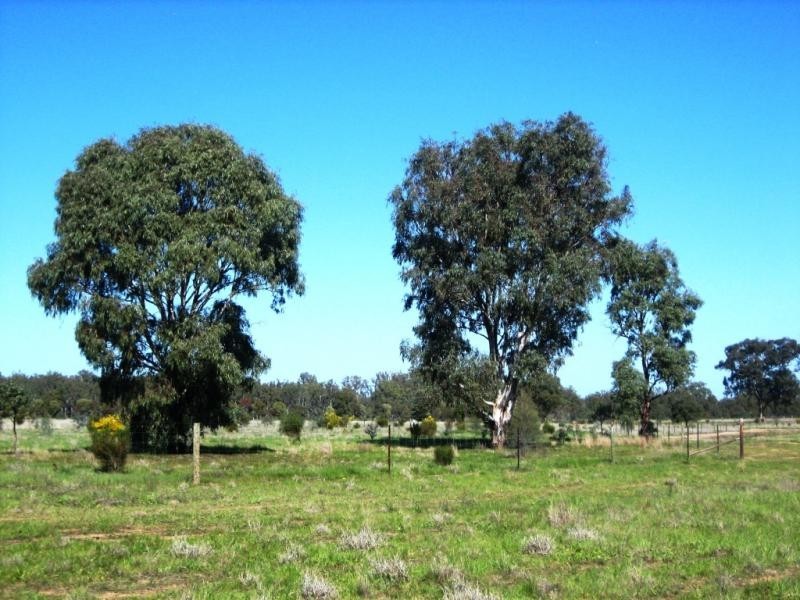 Strathmerton VIC 3641