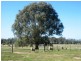 Strathmerton VIC 3641