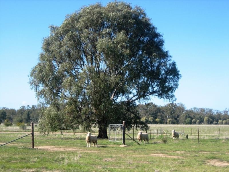 Strathmerton VIC 3641