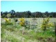 Strathmerton VIC 3641